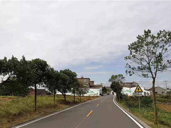 沥青道路